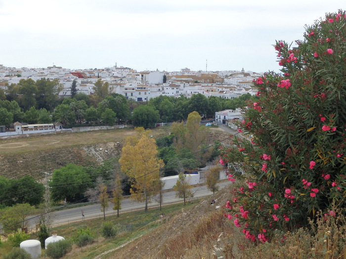 The western view and the remaining part of Carmona.